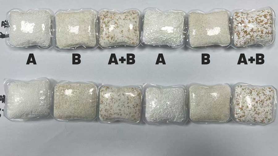 advantages of dual powder pods